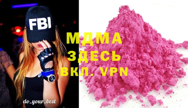 индика Вязьма